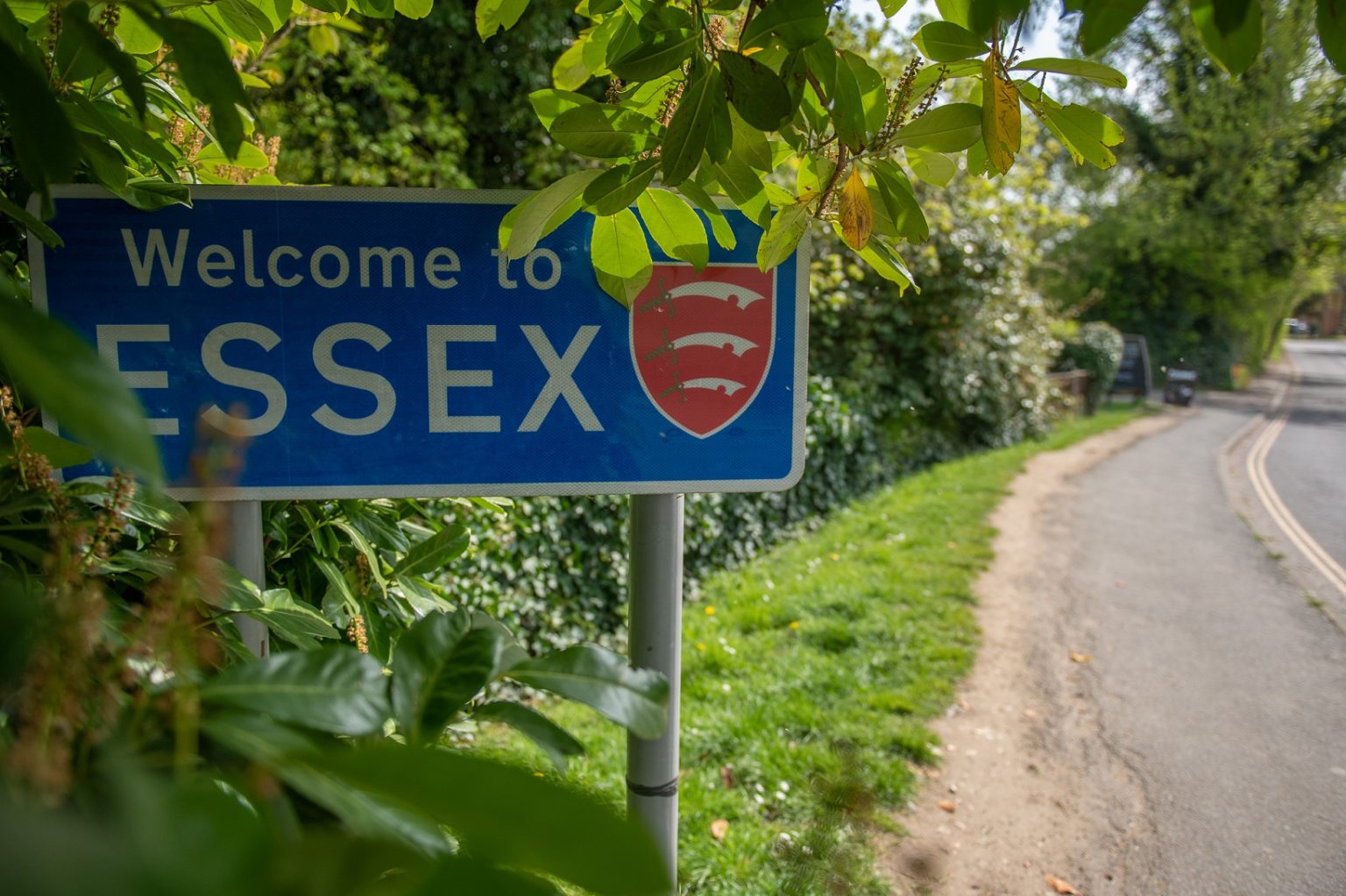 Essex Top main image 1